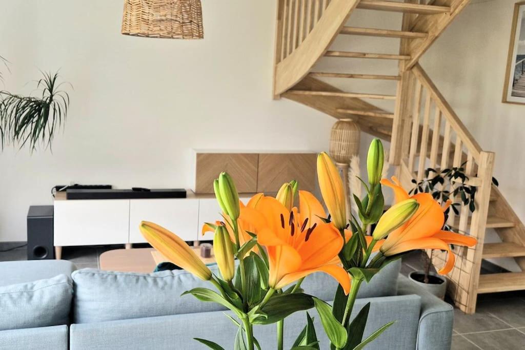 Maison Moderne A Baden Ngoại thất bức ảnh